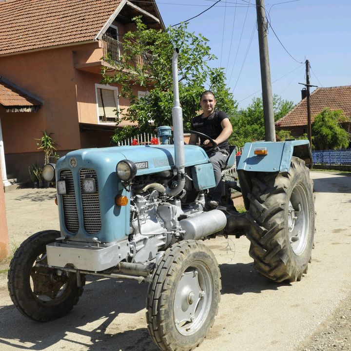 Profile Picture of Aleksa stojanovic (@stojanovicaleksa02) on Tiktok