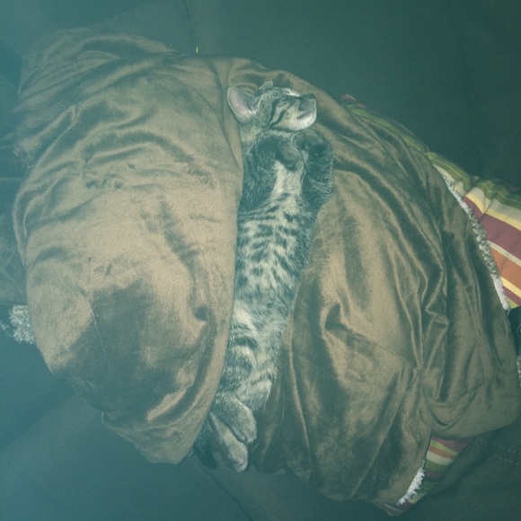 Profile Picture of Stephanie Clausius (@esclaus1) on Poshmark