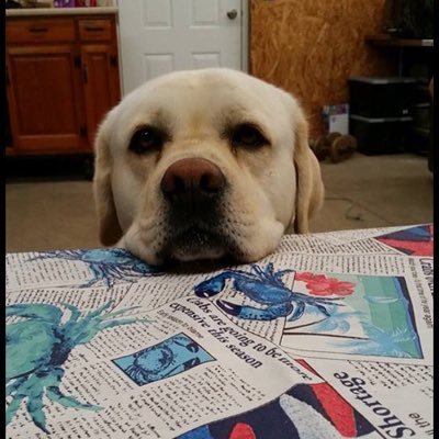 Profile Picture of Chase Conner (@chaseconner70) on Twitter