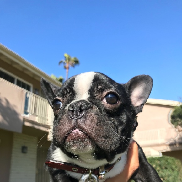 Profile Picture of Monique Rojas (@moniixqueen) on Poshmark