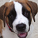 Profile Picture of Michael Ennis (@ennisofphila) on Flickr