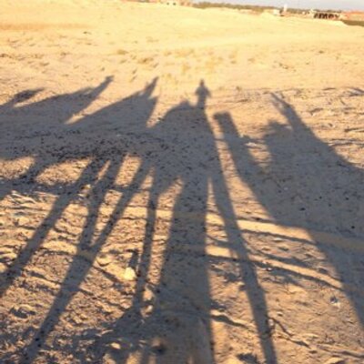Profile Picture of Alex Moussa Sawadogo (@sawadogo1er) on Twitter