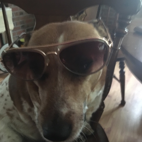 Profile Picture of Sandra Amorim (@amorimsandra106) on Poshmark