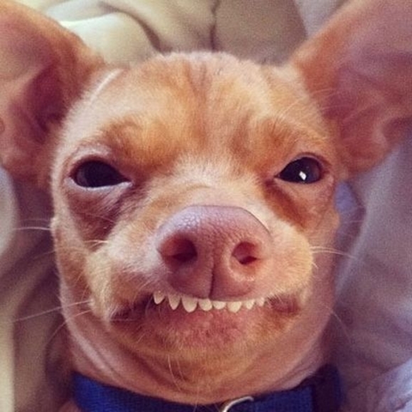Profile Picture of Bertrum Nation (@bertrumnation) on Poshmark