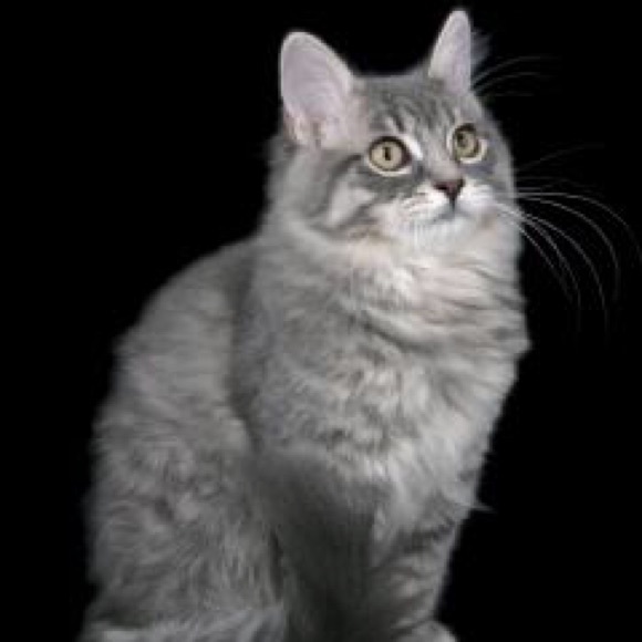 Profile Picture of Alex Garces (@jxaid95) on Poshmark