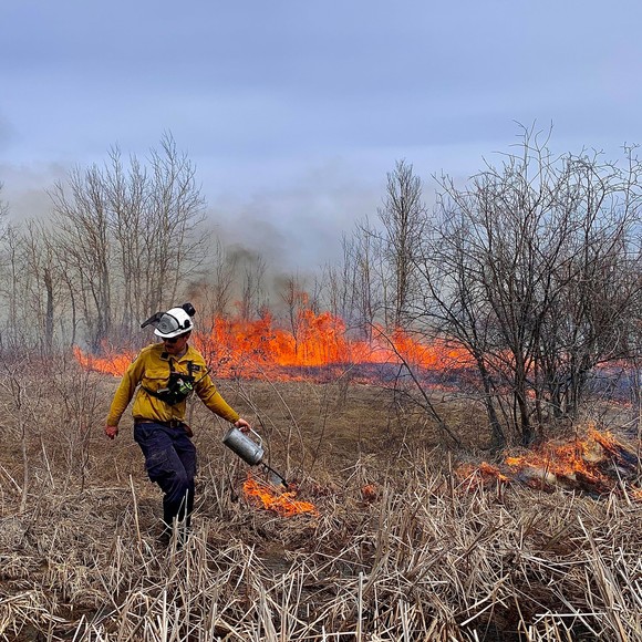 Colin Hewitt - Poshmark Profile Picture of Colin Hewitt (@colinhewitt515) on Poshmark