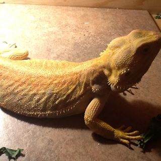 Profile Picture of Christopher Morales (@Christopher-Morales) on Facebook