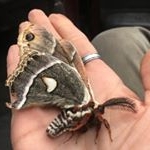 Profile Picture of Chanda Jenkins (@hippie_chick_1977) on Instagram