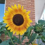 Jean Riddell - Facebook Profile Picture of Jean Riddell (@jean.riddell.77) on Facebook