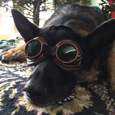 Profile Picture of Jared Freedman (@jwfreedman) on Twitter