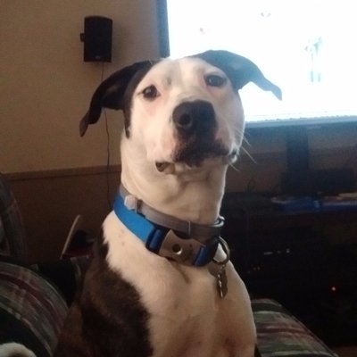 Profile Picture of Gary Switzer (@GarySwitz) on Twitter