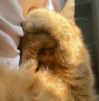 Profile Picture of Bidone Ism (@ZDAssegaf) on Facebook