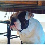 Profile Picture of Michael Conger (@marty001216) on Instagram