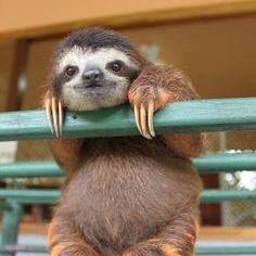 Profile Picture of Eugene McGough (@Eugene-McGough) on Facebook