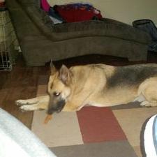 Profile Picture of Jakob Evan Chambers (@JakobEvan) on Twitter