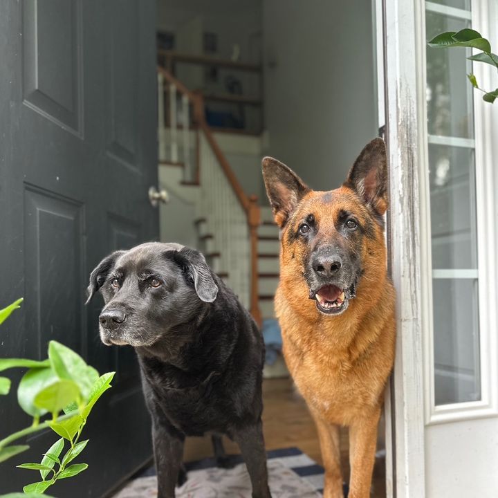 Amanda Rudolph - Tiktok Profile Picture of Amanda Rudolph (@@amandarudolph_) on Tiktok