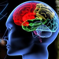 Profile Picture of Regina Celia González Duque (@regina-celia-gonzález-duque) on Quora