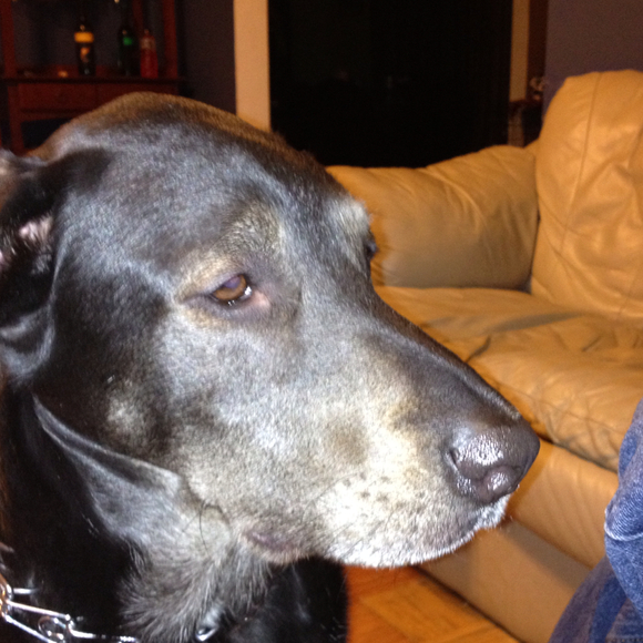 Profile Picture of Joann Farnham (@algebra) on Poshmark