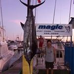 Profile Picture of Joel Carmichael (@jofishrman) on Instagram