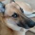Profile Picture of David Pegg (@david.pegg.1213) on Facebook