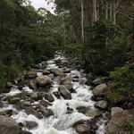 Profile Picture of Marion Boege Bannister (@marion.b.bannister) on Instagram