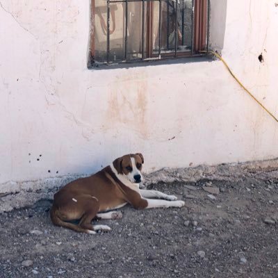 Profile Picture of Stewart (@StewartColby3) on Twitter