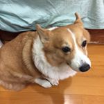 Profile Picture of Hui_Liao (@summersky71) on Instagram