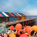 Profile Picture of Jodi StPierre (@stpierrejodi) on Instagram