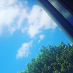 Profile Picture of Isaac Yang (@isaac_yang1) on Instagram