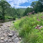 Profile Picture of Curt Rineer (@curt.rineer.3) on Facebook