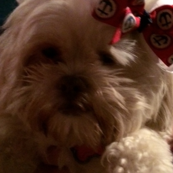 Profile Picture of Heather Dantonio (@hmdrentals) on Poshmark