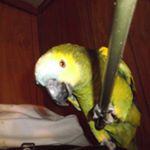 Profile Picture of Sherryl Hulsey Carter (@sherrylhulsey) on Instagram