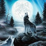 Profile Picture of Julian Dupuy (@julian.dupuy.56) on Instagram