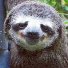 peterzitz - Tiktok Profile Picture of peterzitz (@peterzitz) on Tiktok