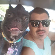 Profile Picture of Ivan Alfaro (@ivanalfaro4255) on Youtube