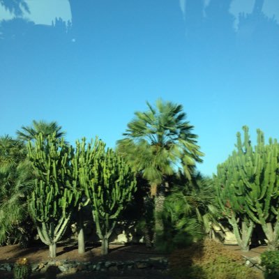 Profile Picture of Ian Downey (@IanDowney20) on Twitter