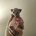 Ashley Mochan - Facebook Profile Picture of Ashley Mochan (@Ashley-Mochan) on Facebook