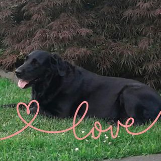 Profile Picture of Joey Beasley (Toodle) (@joseph.bessley) on Facebook