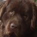 Profile Picture of Irene Sutcliffe (@Irene-Sutcliffe) on Facebook