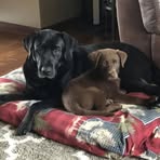 Profile Picture of Sarah Schnell (@sarah.kraft.520900) on Facebook