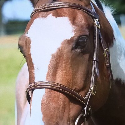 Profile Picture of Jeanette Vincent (@RHF_Ryelands) on Twitter