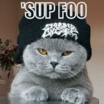 Profile Picture of shirleypurvis (@shirleypurvis) on Instagram