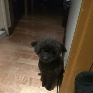 Profile Picture of Mark Hsiao (@hsiaomark) on Instagram