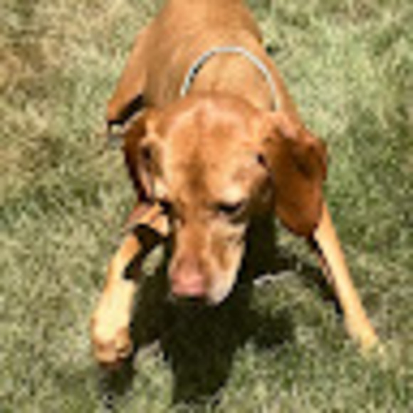 Pierce Pierce - Poshmark Profile Picture of Pierce Pierce (@umachacha892) on Poshmark