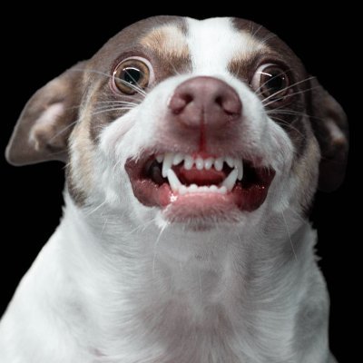 Profile Picture of S. Browning (@ShawnBrowning) on Twitter
