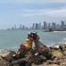 Profile Picture of Herbert Acosta (@herbert.acosta.50) on Facebook