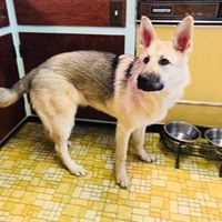 Profile Picture of Barbara Haley (@barbara-haley-13) on Quora