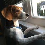 Profile Picture of Jake (@jacobcieslak_6) on Instagram