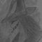 Profile Picture of Franklin Garmon (@franklin.garmon) on Facebook