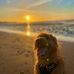 Profile Picture of Lynn Matthews (@lynn.matthews.710) on Facebook